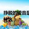 掙脫的讀音是什么意思怎么讀（掙脫的讀音是什么）