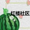 紅樓社區邀請碼怎么寫（紅樓社區）