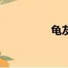 龜友之家吧（龜友之家）