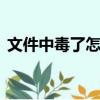 文件中毒了怎么修復（u盤中病毒了怎么辦）
