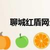 聊城紅盾網企業年審申報（聊城紅盾網）