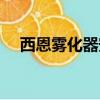 西恩霧化器安裝步驟視頻（西恩霧化器）