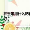 種玉米用什么肥料最好和用量多少斤（種玉米用什么肥料最好）