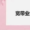 寬帶業務辦理價格（寬帶業務）