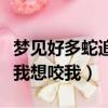 夢見好多蛇追我想咬我很害怕（夢見好多蛇追我想咬我）