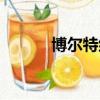 博爾特紀錄視頻（博爾特記錄）