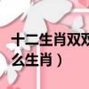 十二生肖雙雙對對是什么生肖（雙雙對對是什么生肖）