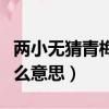 兩小無猜青梅竹馬是什么意思（青梅竹馬是什么意思）