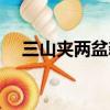 三山夾兩盆新疆有哪些盆（三山夾兩盆）