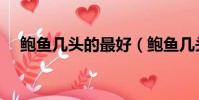 鮑魚幾頭的最好(鮑魚幾頭是什么意思)