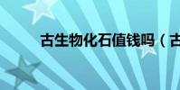 古生物化石值錢嗎(古生物化石)