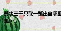 弱水三千只取一瓢出自哪里(溺水三千只取一瓢)