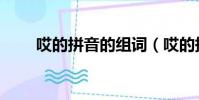 哎的拼音的組詞(哎的拼音和組詞)