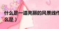 什么是一道亮麗的風景線作文600字(什么什么是)