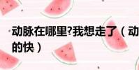 動脈在哪里?我想走了(動脈在哪里怎么割死的快)