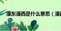 潘東潘西是什么意思(潘西是什么意思)
