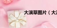 大演草圖片(大演草)