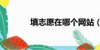 填志愿在哪個網站(填志愿)