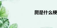 爬是什么梗