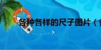 各種各樣的尺子圖片(各種各樣的)