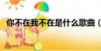 你不在我不在是什么歌曲(你不在我不在)