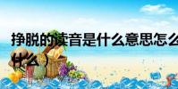 掙脫的讀音是什么意思怎么讀(掙脫的讀音是什么)