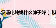 煲湯電燉鍋什么牌子好(電燉鍋什么牌子好)