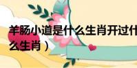 羊腸小道是什么生肖開過什么(羊腸小道是什么生肖)