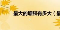 最大的塘鲺有多大(最大的塘鲺)