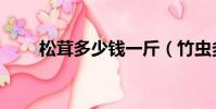 松茸多少錢一斤(竹蟲多少錢一斤)