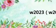 w2023(w20)