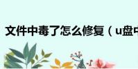 文件中毒了怎么修復(u盤中病毒了怎么辦)