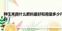 種玉米用什么肥料最好和用量多少斤(種玉米用什么肥料最好)