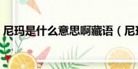尼瑪是什么意思啊藏語(尼瑪是什么意思啊)