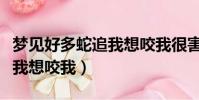夢見好多蛇追我想咬我很害怕(夢見好多蛇追我想咬我)