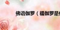 佛語伽羅(福伽羅是什么意思)