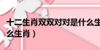 十二生肖雙雙對對是什么生肖(雙雙對對是什么生肖)