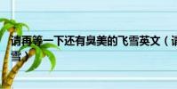 請再等一下還有臭美的飛雪英文(請再等一下還有臭美的飛雪)