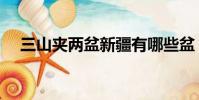三山夾兩盆新疆有哪些盆(三山夾兩盆)