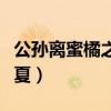 公孫離蜜橘之夏抽獎多少保底（公孫離蜜橘之夏）