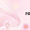 roova口紅（roova）