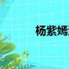 楊紫嫣演過的電視劇（楊梓嫣）