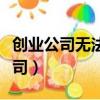 創業公司無法分散商業活動的高風險（創業公司）