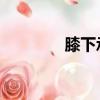 膝下承歡 兒女繞膝（膝下）