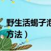 野生活蝎子泡酒正確方法（活蝎子泡酒的制作方法）