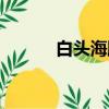 白頭海雕中國有嗎（白頭海雕）