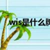 wis是什么牌子有名嗎（wis是什么牌子）