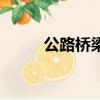 公路橋梁板式橡膠支座（公路橋）