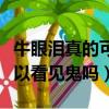 牛眼淚真的可以看見鬼嗎視頻（牛眼淚真的可以看見鬼嗎）