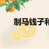 制馬錢子和馬錢子的區別（制馬錢子）